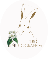 PHOTOGRAPHE MARIAGE BORDEAUX